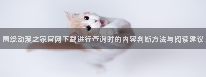 夫妇以上恋人未满动漫