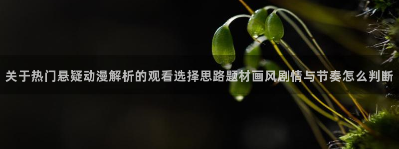 日漫推荐:关于热门悬疑动漫解析的观看选择思路题材画风剧情与节奏怎么判断